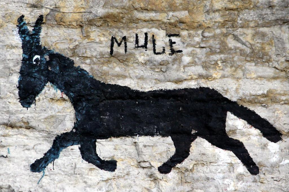 Sundown Towns in Pennsylvania A Historical Overview Animascorp