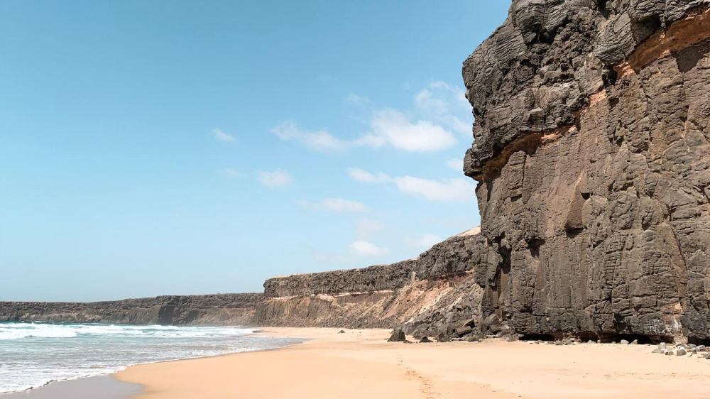 Mark Taylor Revolutionizing Sports with Speed Edge Animascorp