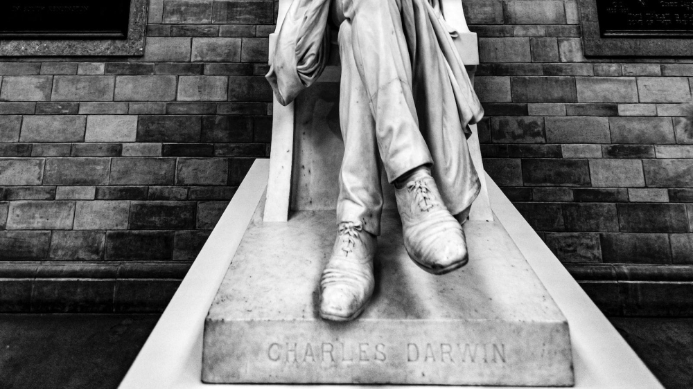 The Origins of Jingle Bells Debunking the Slavery Claim Animascorp