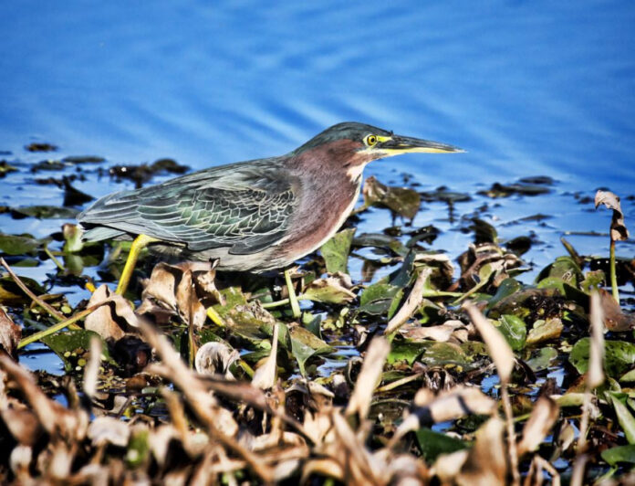 Tri County Landfill: Sustainable Waste Management Solutions