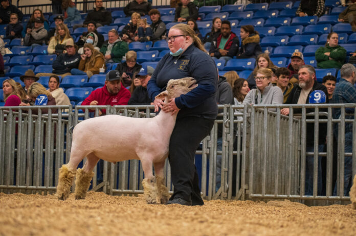 Spin Philadelphia: A Photo Tour of the City’s Best