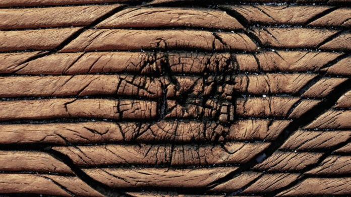 Brett Conaway: Achieving Success in Fitness Industry