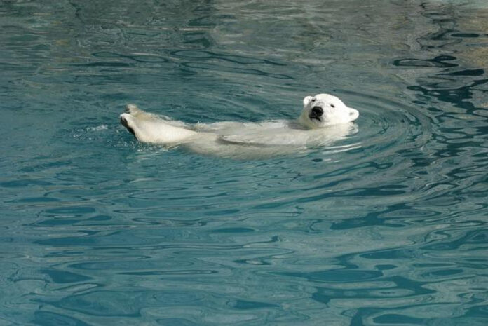cerenity-white-bear-lake-senior-living-at-its-best.jpg Cerenity White Bear Lake: Senior Living at Its Best