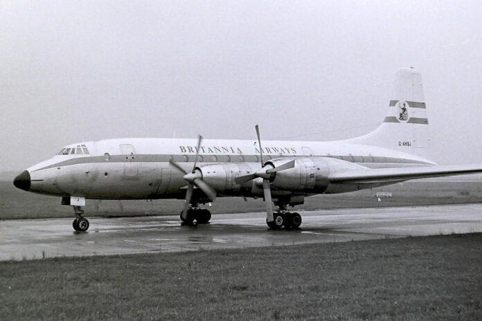 The Ultimate Guide to Anba: Traditional Cultivation