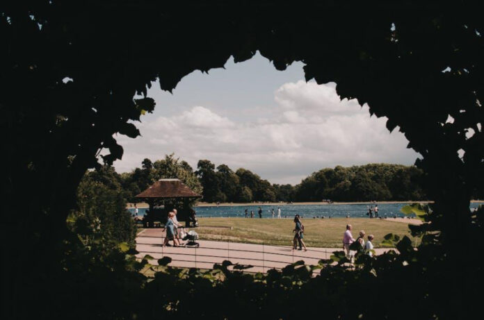 discover-the-beauty-of-lake-seminole-square.jpeg Discover the Beauty of Lake Seminole Square
