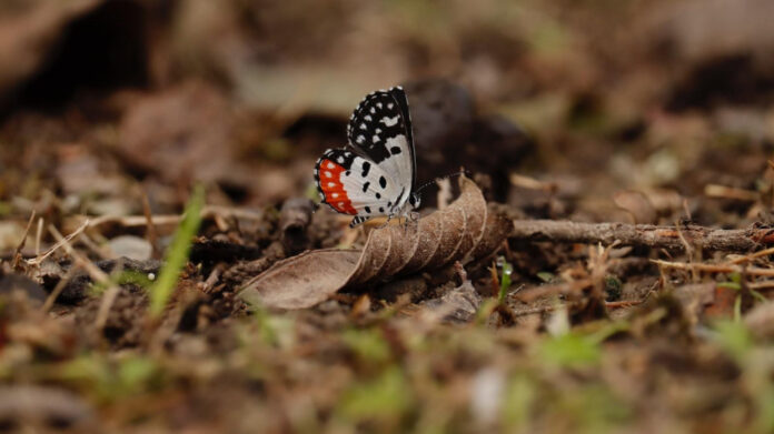 McKeel Academy: A Comprehensive Guide