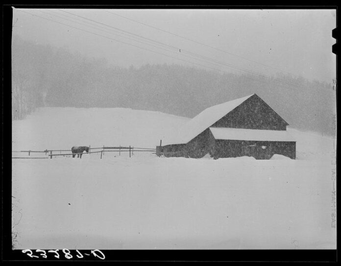 Discover Southern Vermont Arts Center’s Treasures
