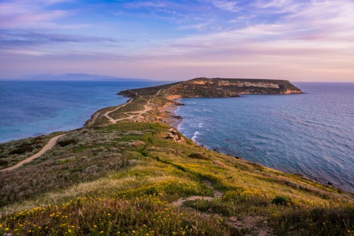 Expert Peninsula Plastic Surgery Services