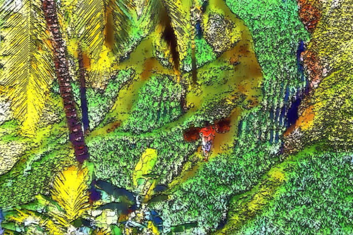 Mas Katy: The Ultimate Guide to Indonesian Cuisine