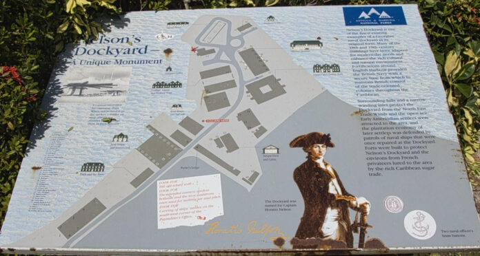 Optimist: The Power of Positive Thinking Explained