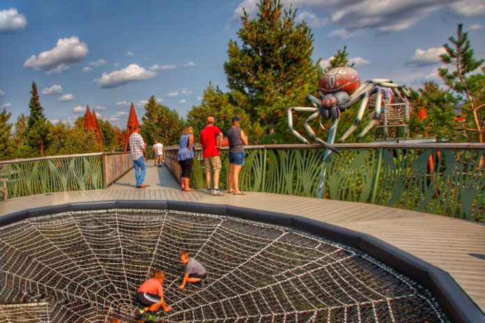 Explore The Wild Center Tupper Lake NY – Nature’s Wonderland