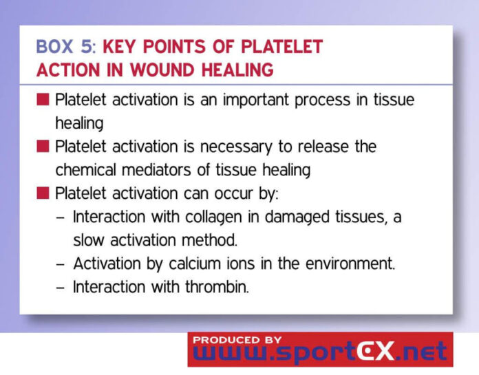 Understanding PAF: A Comprehensive Guide to Platelet Activation