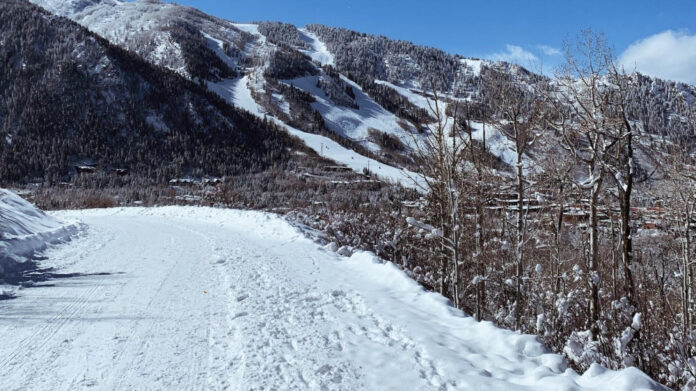 Meredith Seacrest: Life and Career Highlights