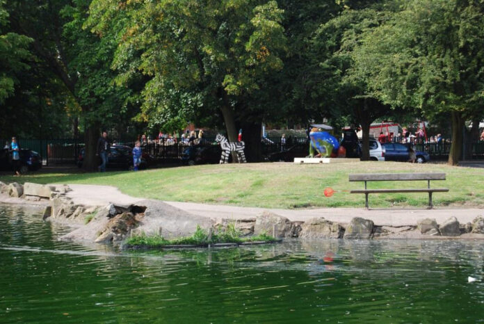 Gemma Services: Everything You Need to Know