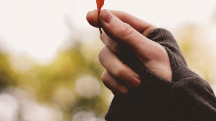 Exploring the Benefits of Chesterton Academy of the Holy Family