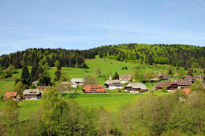 Exploring the Charming Village of East Harbor