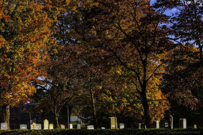 Feeding America Riverside: Addressing Food Insecurity