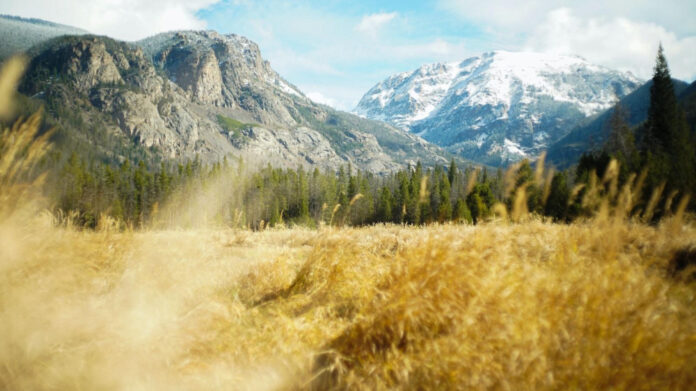 exploring-the-beauty-of-continental-park-a-complete-guide.jpg Exploring the Beauty of Continental Park: A Complete Guide