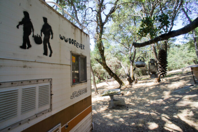 Understanding the World Wide Opportunities on Organic Farms (WWOOF)