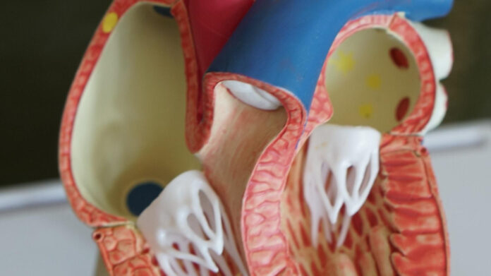 Discover Monmouth Medical Center Long Branch: Services and Facilities