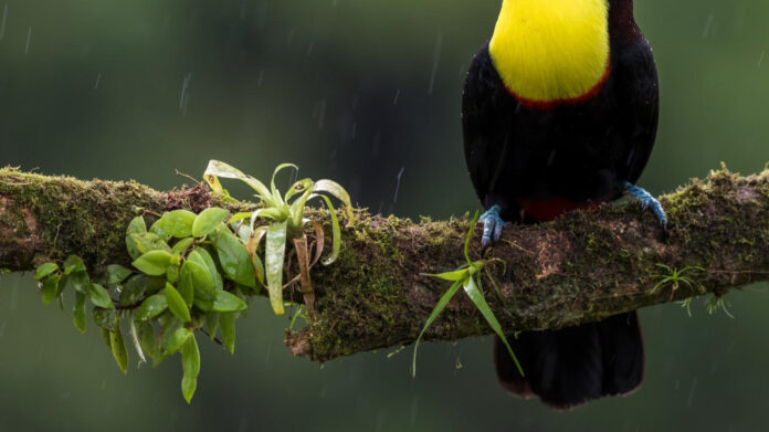 Discover the Jersey Shore Animal Center: A Haven for Animals