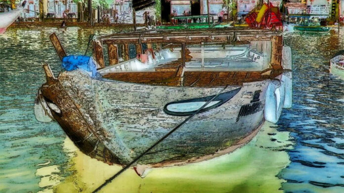 Your Guide to Sixth Street Vet: Services, Staff, and More