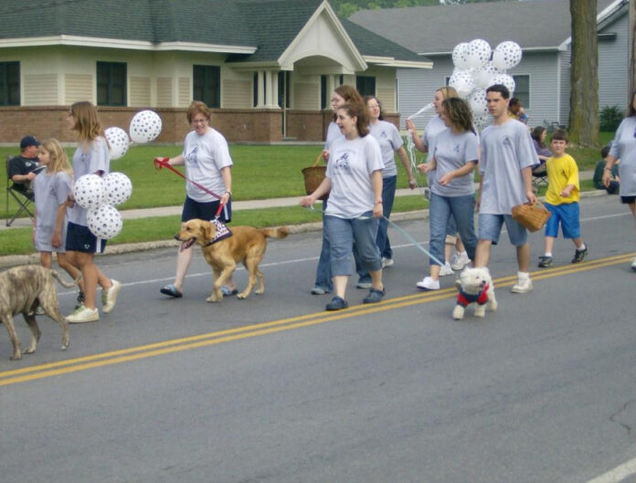 discover-massena-humane-society-shelter-adoption-and-volunteer-opportunities.jpg Discover Massena Humane Society: Shelter, Adoption, and Volunteer Opportunities