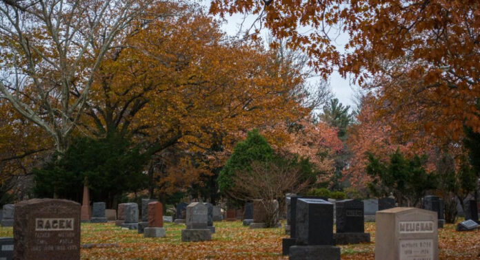 Explore the History and Beauty of Highland Park Cemetery