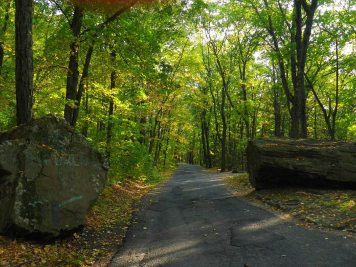 Exploring Clark Reservation State Park: A Natural Oasis
