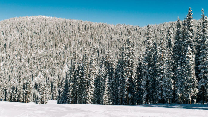 Exploring the History and Impact of Keystone Theater