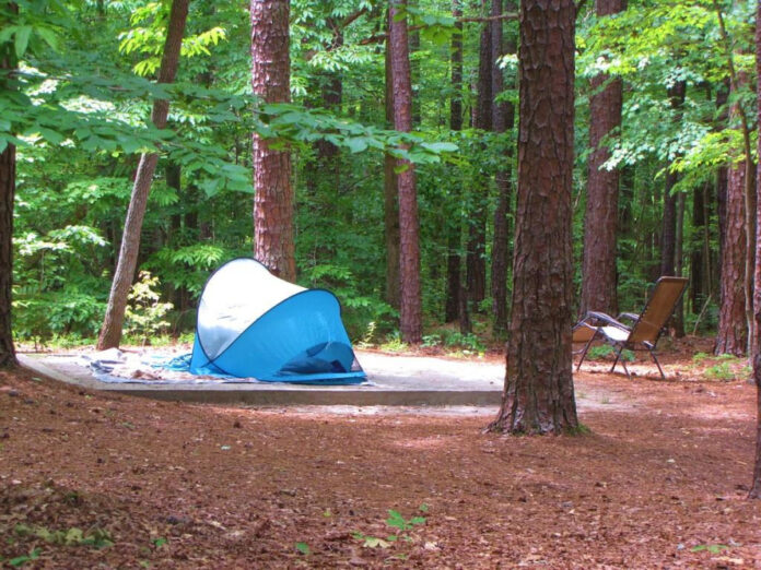 Exploring the Triangle Area NC: A Comprehensive Guide