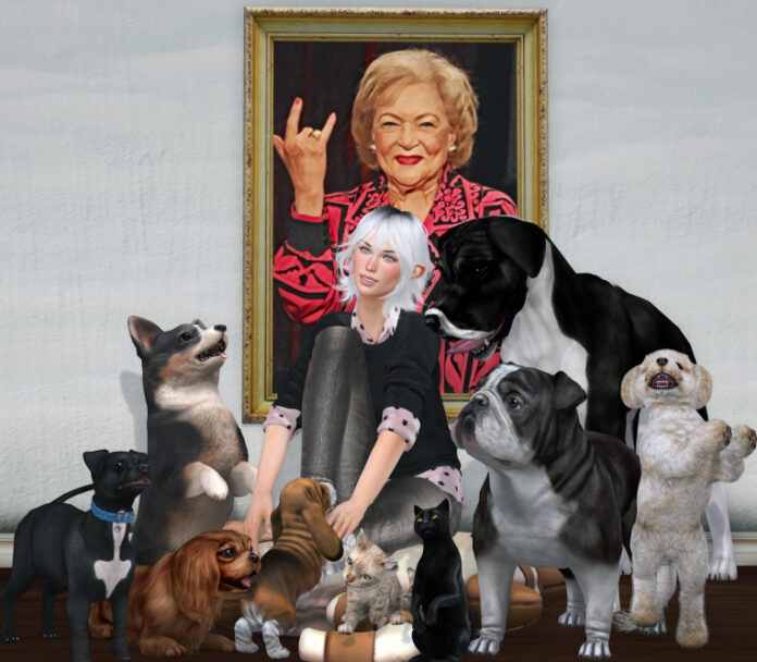 Discover Motley Zoo: A Unique Animal Shelter and Music Venue