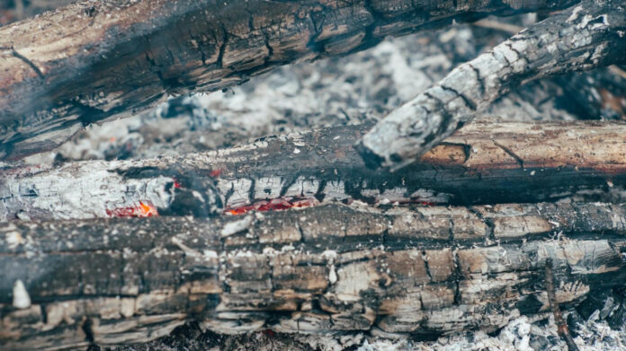 The Purpose and Importance of an Admiral Log for Ship Management