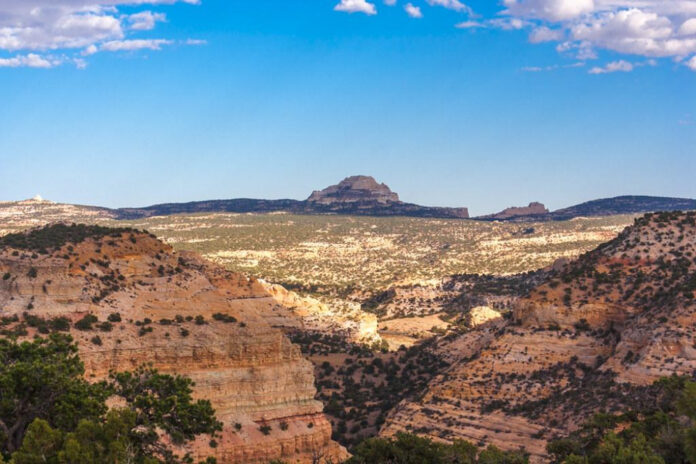 Supporting Utah Communities: Nonprofit Association Highlights