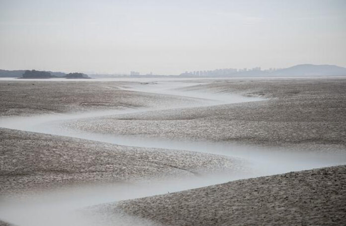 Tarrant County Food Bank: Addressing Hunger in Our Community