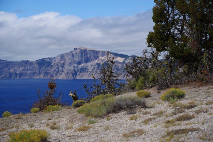 Who is Kaitlynn Carter? Get to Know the Reality TV Star