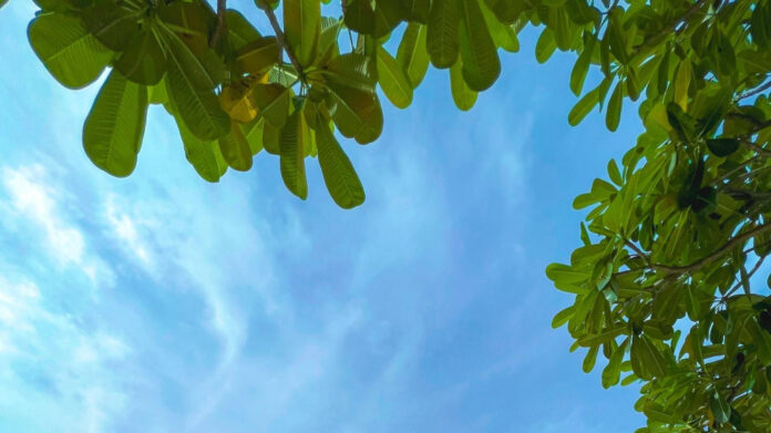 Sandeep Nathwani: Business Innovator and Leader