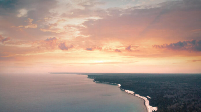 The Impact of Bruce Lee’s Table Tennis Skills on Business Success