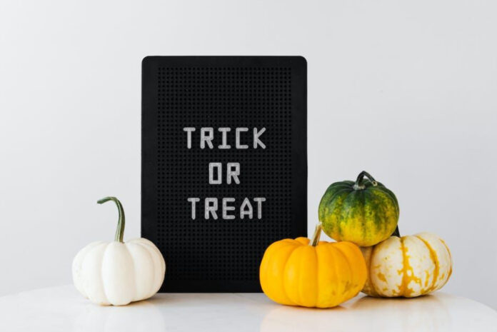 Delicious White Pumpkin Recipes for Fall