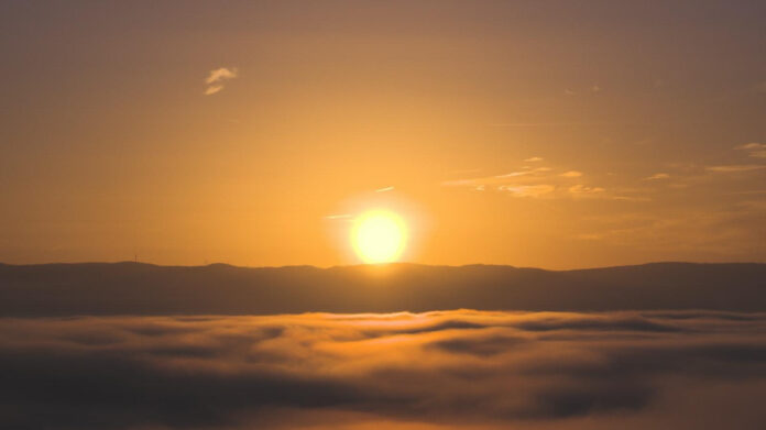 Who is Tanvi Marupally