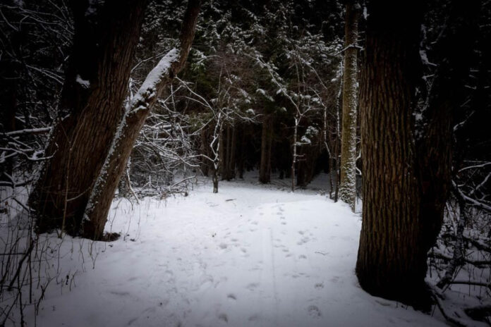 Wordle December 21: Daily Puzzle Answers and Tips