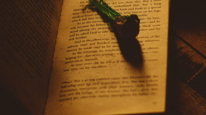 Vijay Diwas: The Surprising Triumph That Changed India’s History