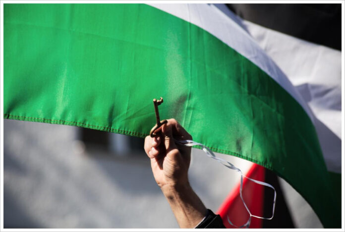 Palestinian March in Chicago: Voices for Change