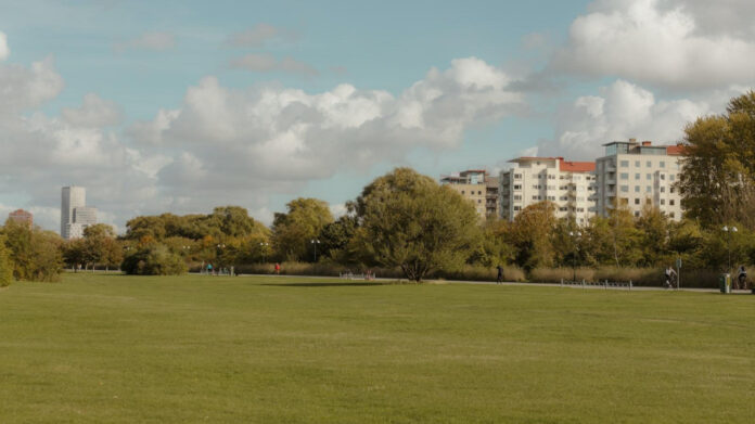 Cringemdb: What You Need to Know About the Popular Database