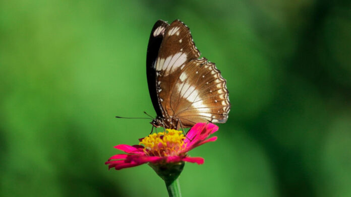 Feeding Those in Need: River Bend Food Bank