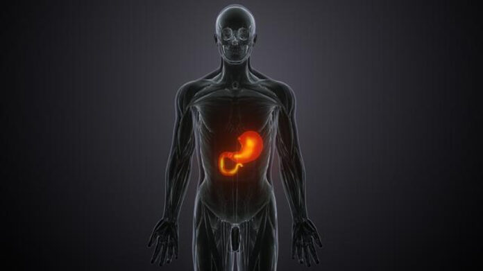 Best Gastroenterologist in Fredericksburg VA: Expert Digestive Care