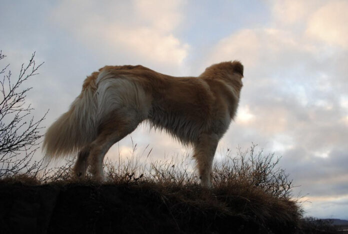 Discover the Allure of Gloa: A Passionate Exploration