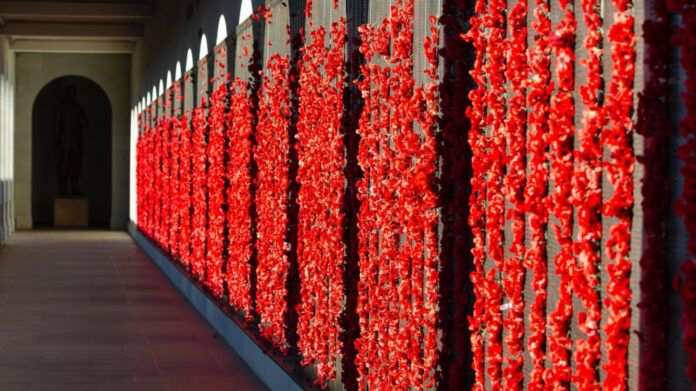 Discover the Heartfelt Obituaries at Campbell-Biddlecome Funeral Home