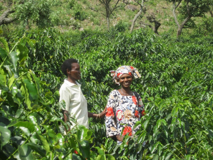 Empowering Farmers: All About One Acre Fund