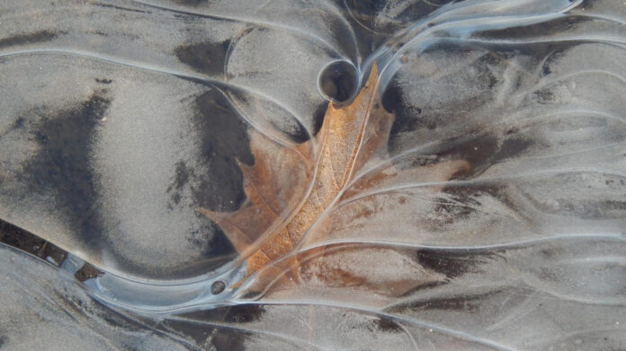 The Intriguing Story of John Miller